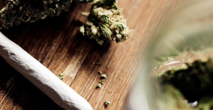 5 Marijuana Facts and Myths