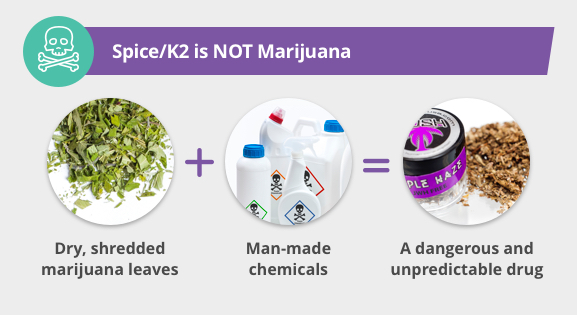 Spice K2 Is Not Marijuana Inforgraphic